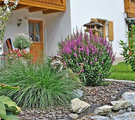 Apartmán Haus Frainer Wald am Arlberg Exteriér fotografie